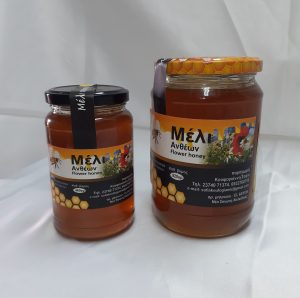 Μέλι Νέα Σκιώνη Χαλκιδικής, βασιλικός πολτός Νέα Σκιώνη Χαλκιδικής, ελαιόλαδο Νέα Σκιώνη Χαλκιδικής, πευκόμελο Νέα Σκιώνη Χαλκιδικής, μέλι βελανιδιάς Νέα Σκιώνη Χαλκιδικής, μέλι ελάτης Νέα Σκιώνη Χαλκιδικής, μέλια καστανιάς Νέα Σκιώνη Χαλκιδικής, μέλι κουμαρίας Νέα Σκιώνη Χαλκιδικής. Μελισσοκομικά προϊόντα Νέα Σκιώνη, Κουφογιάννη