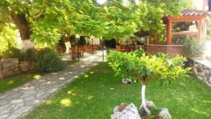 Ταβέρνα Δάφνη Ευβοίας, εστιατόριο Δάφνη Ευβοίας, σπιτική κουζίνα Δάφνη Ευβοίας, κρέατα Δάφνη Ευβοίας, θαλασσινά Δάφνη Ευβοίας, taverna dafni euvoias, Ο Θύμιος