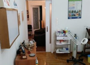 Αλλεργιολόγος Κυψέλη, βρογχικό άσθμα Κυψέλη, αλλεργική ρινίτιδα Κυψέλη, τροφική αλλεργία Κυψέλη, δερματική αλλεργία Κυψέλη, ενέσιμη ανοσοθεραπεία Κυψέλη, Χρυσουλάκης 