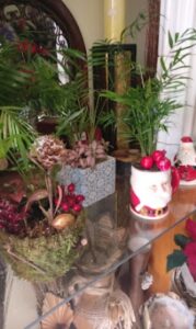 Ανθοπωλείο Αρχάγγελος Ρόδος, στολισμός γάμου Αρχάγγελος Ρόδος, στολισμοί βάπτισης Αρχάγγελος Ρόδος, ανθοδέσμες Αρχάγγελος Ρόδος, λουλούδια Αρχάγγελος Ρόδος, μπουκέτα λουλουδιών Αρχάγγελος Ρόδος, άνθη Αρχάγγελος Ρόδος, γλάστρες Αρχάγγελος Ρόδος, Ortansia 