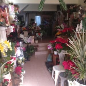 Ανθοπωλείο Αρχάγγελος Ρόδος, στολισμός γάμου Αρχάγγελος Ρόδος, στολισμοί βάπτισης Αρχάγγελος Ρόδος, ανθοδέσμες Αρχάγγελος Ρόδος, λουλούδια Αρχάγγελος Ρόδος, μπουκέτα λουλουδιών Αρχάγγελος Ρόδος, άνθη Αρχάγγελος Ρόδος, γλάστρες Αρχάγγελος Ρόδος, Ortansia 