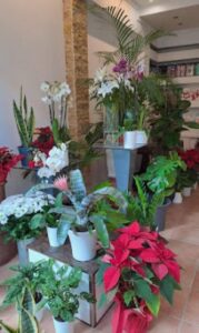 Ανθοπωλείο Γουδί Αθήνα, στολισμός γάμου Γουδί Αθήνα, στολισμοί βάπτισης Γουδί Αθήνα, κατασκευή κήπων Γουδί Αθήνα, συντήρηση κήπων Γουδί Αθήνα, ανθοδέσμες Γουδί Αθήνα, μπουκέτα λουλουδιών Γουδί Αθήνα, Πυρομάλης 