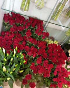 Ανθοπωλείο Γουδί Αθήνα, στολισμός γάμου Γουδί Αθήνα, στολισμοί βάπτισης Γουδί Αθήνα, κατασκευή κήπων Γουδί Αθήνα, συντήρηση κήπων Γουδί Αθήνα, ανθοδέσμες Γουδί Αθήνα, μπουκέτα λουλουδιών Γουδί Αθήνα, Πυρομάλης 