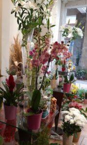 Ανθοπωλείο Γουδί Αθήνα, στολισμός γάμου Γουδί Αθήνα, στολισμοί βάπτισης Γουδί Αθήνα, κατασκευή κήπων Γουδί Αθήνα, συντήρηση κήπων Γουδί Αθήνα, ανθοδέσμες Γουδί Αθήνα, μπουκέτα λουλουδιών Γουδί Αθήνα, Πυρομάλης 