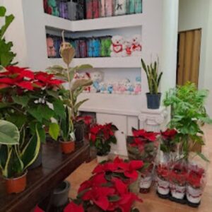 Ανθοπωλείο Γουδί Αθήνα, στολισμός γάμου Γουδί Αθήνα, στολισμοί βάπτισης Γουδί Αθήνα, κατασκευή κήπων Γουδί Αθήνα, συντήρηση κήπων Γουδί Αθήνα, ανθοδέσμες Γουδί Αθήνα, μπουκέτα λουλουδιών Γουδί Αθήνα, Πυρομάλης 