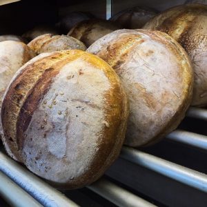 Αρτοποιείο Κύμη, φούρνος Κύμη, ψωμί Κύμη, σφολιάτες Κύμη, βουτήματα Κύμη, κουλούρια Κύμη, κεράσματα Κύμη, γλυκά Κύμη. Αρτοποιεία Κύμη, φούρνοι Κύμη, Παπαϊωάννου