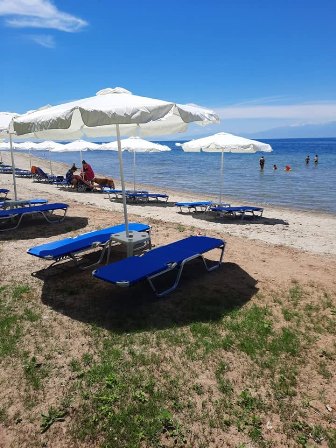 Beach scene with blue lounge chairs and white umbrellas along a sandy shore; calm sea with a few people swimming nearby.