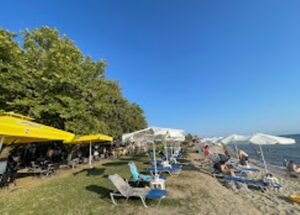 Beach bar Όρμος Θεσσαλονίκης, παραλία Όρμος Θεσσαλονίκης, καφετέρια Όρμος Θεσσαλονίκης, πρωινά γεύματα Όρμος Θεσσαλονίκης, brunch Όρμος Θεσσαλονίκης, κοκτέιλ Όρμος Θεσσαλονίκης, ροφήματα Όρμος Θεσσαλονίκης, σνακ Όρμος Θεσσαλονίκης, Golden Beach 