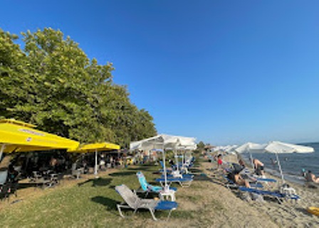 Sunny beach scene with yellow and white umbrellas, lounge chairs, and people relaxing along the sandy shore under a clear blue sky.