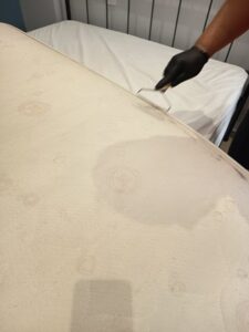 Βιολογικοί καθαρισμοί Κερατσίνι, απολυμάνσεις Κερατσίνι, υπηρεσίες καθαρισμού Κερατσίνι, βιολογικοί καθαρισμοί καναπέδων Κερατσίνι, καθαρισμοί στρωμάτων Κερατσίνι, καθαρισμοί χαλιών Κερατσίνι, βιολογικοί καθαρισμοί αυτοκινήτων Κερατσίνι, Biox 