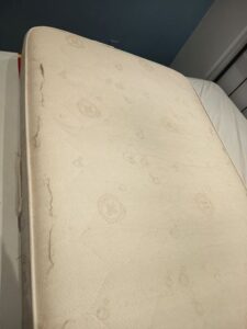 Βιολογικοί καθαρισμοί Κερατσίνι, απολυμάνσεις Κερατσίνι, υπηρεσίες καθαρισμού Κερατσίνι, βιολογικοί καθαρισμοί καναπέδων Κερατσίνι, καθαρισμοί στρωμάτων Κερατσίνι, καθαρισμοί χαλιών Κερατσίνι, βιολογικοί καθαρισμοί αυτοκινήτων Κερατσίνι, Biox 