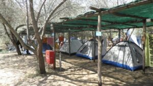 Camping Αμμουλιανή Χαλκιδικής, κάμπινγκ Αμμουλιανή Χαλκιδικής, σκηνές Αμμουλιανή Χαλκιδικής, τροχόσπιτα Αμμουλιανή Χαλκιδικής, παραθαλάσσιο κάμπινγκ Αμμουλιανή Χαλκιδικής, διακοπές Αμμουλιανή Χαλκιδικής, Alikes 