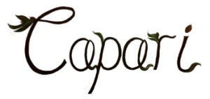 Σουίτες Ελαφόνησος, ενοικιαζόμενα διαμερίσματα Ελαφόνησος, suites Ελαφόνησος, καταλύματα Ελαφόνησος, ενοικιαζόμενες κατοικίες Ελαφόνησος, ενοικιαζόμενα δωμάτια Ελαφόνησος, Capari