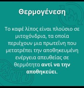 Διαιτολόγος Μοσχάτο, διαιτολογικό ιατρείο Μοσχάτο, διατροφολόγος Μοσχάτο, διατροφή Μοσχάτο, δίαιτα Μοσχάτο, λιπομέτρηση Μοσχάτο, idna test Μοσχάτο, χάσιμο βάρους Μοσχάτο, αύξηση βάρους Μοσχάτο, Βρυνιώτη 