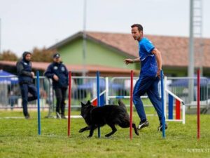 Εκπαίδευση σκύλων Αχαρνές, εκπαιδευτής σκύλων Αχαρνές, προεκπαίδευση κουταβιού Αχαρνές, βασική υπακοή Αχαρνές, agility club Αχαρνές, ομαδικά μαθήματα εκπαίδευσης Αχαρνές, dog park Αχαρνές, Tatoi
