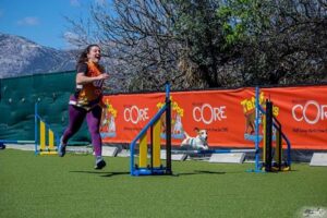 Εκπαίδευση σκύλων Αχαρνές, εκπαιδευτής σκύλων Αχαρνές, προεκπαίδευση κουταβιού Αχαρνές, βασική υπακοή Αχαρνές, agility club Αχαρνές, ομαδικά μαθήματα εκπαίδευσης Αχαρνές, dog park Αχαρνές, Tatoi