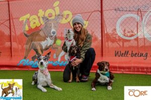 Εκπαίδευση σκύλων Αχαρνές, εκπαιδευτής σκύλων Αχαρνές, προεκπαίδευση κουταβιού Αχαρνές, βασική υπακοή Αχαρνές, agility club Αχαρνές, ομαδικά μαθήματα εκπαίδευσης Αχαρνές, dog park Αχαρνές, Tatoi