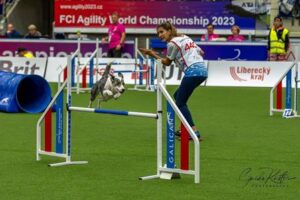 Εκπαίδευση σκύλων Αχαρνές, εκπαιδευτής σκύλων Αχαρνές, προεκπαίδευση κουταβιού Αχαρνές, βασική υπακοή Αχαρνές, agility club Αχαρνές, ομαδικά μαθήματα εκπαίδευσης Αχαρνές, dog park Αχαρνές, Tatoi