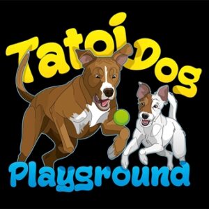 Εκπαίδευση σκύλων Αχαρνές, εκπαιδευτής σκύλων Αχαρνές, προεκπαίδευση κουταβιού Αχαρνές, βασική υπακοή Αχαρνές, agility club Αχαρνές, ομαδικά μαθήματα εκπαίδευσης Αχαρνές, dog park Αχαρνές, Tatoi