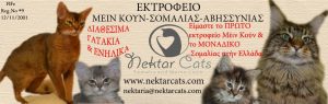 Εκτροφείο γάτας Σαλαμίνα, εκτροφείο γάτας Μεϊν κουν Σαλαμίνα, εκτροφείο γάτας Σομαλίας, εκτροφείο γάτας Αβησσυνίας Σαλαμίνα. Εκτροφεία γάτας Σαλαμίνα, εκτροφεία γάτας Μεϊν κουν Σαλαμίνα, εκτροφεία γάτας Σομαλίας, εκτροφεία γάτας Αβησσυνίας, Nektar Cats