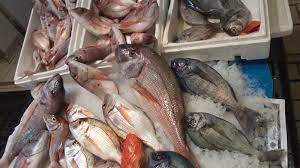 Εμπόριο ψαριών Ιχθυόσκαλα Κερατσίνι, χονδρικό εμπόριο ψαριών Ιχθυόσκαλα Κερατσίνι, φρέσκα ψάρια Ιχθυόσκαλα Κερατσίνι, θαλασσινά Ιχθυόσκαλα Κερατσίνι, οστρακοειδή Ιχθυόσκαλα Κερατσίνι, ντόπια ψάρια Ιχθυόσκαλα Κερατσίνι, Πατρώνα 