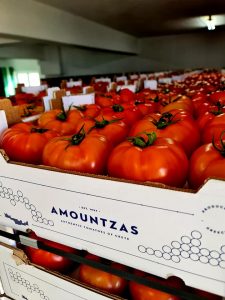 Εμπόριο οπωροκηπευτικών Κουντουρά Χανίων, λαχανικά Κουντουρά Χανίων, φρούτα Κουντουρά Χανίων, συσκευασία οπωροκηπευτικών Κουντουρά Χανίων, τυποποίηση προϊόντων Κουντουρά Χανίων, Αμούντζας