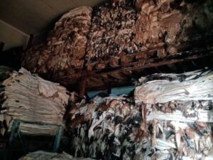 Εμπόριο δερμάτων Καβάλα,  ζωικό λίπος Καβάλα, συντήρηση αλατισμένου δέρματος Καβάλα, αποθήκευση αλατισμένου δέρματος Καβάλα, απολίπωση χοιρινών δερμάτων Καβάλα. Μεταφορά ακατέργαστων δερμάτων Καβάλα, ακατέργαστα υγράλατα αλατισμένα δέρματα Καβάλα, Κίτσος  