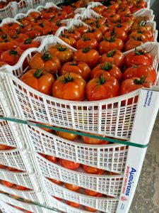 Εμπόριο οπωροκηπευτικών Κουντουρά Χανίων, λαχανικά Κουντουρά Χανίων, φρούτα Κουντουρά Χανίων, συσκευασία οπωροκηπευτικών Κουντουρά Χανίων, τυποποίηση προϊόντων Κουντουρά Χανίων, Αμούντζας