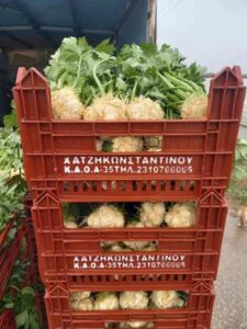 Χονδρικό εμπόριο οπωροκηπευτικών Μενεμένη, εμπόριο λαχανικών Μενεμένη Θεσσαλονίκης, εμπόριο φρούτων Μενεμένη Θεσσαλονίκης, εμπόριο κερασιών Μενεμένη Θεσσαλονίκης, εμπόριο πεπονιών Μενεμένη Θεσσαλονίκης, εμπόριο κολοκυθιών Μενεμένη Θεσσαλονίκης, εμπόριο ροδάκινων Μενεμένη Θεσσαλονίκης, Χατζηκωσταντίνου