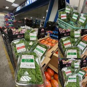 Χονδρικό εμπόριο οπωροκηπευτικών Μενεμένη, εμπόριο λαχανικών Μενεμένη Θεσσαλονίκης, εμπόριο φρούτων Μενεμένη Θεσσαλονίκης, εμπόριο κερασιών Μενεμένη Θεσσαλονίκης, εμπόριο πεπονιών Μενεμένη Θεσσαλονίκης, εμπόριο κολοκυθιών Μενεμένη Θεσσαλονίκης, εμπόριο ροδάκινων Μενεμένη Θεσσαλονίκης, Χατζηκωσταντίνου