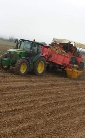 Green tractor pulling a red trailer loaded with harvested crops (likely potatoes) in a tilled field under an overcast sky.