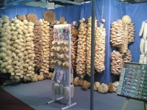 Εμπόριο σφουγγαριών Κάλυμνος, φυσικά σφουγγάρια θαλάσσης Κάλυμνος, λούφες Κάλυμνος, ελαφόπετρες Κάλυμνος, σπόγγοι Κάλυμνος, Physis 