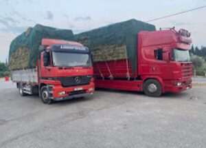 Εμπόριο ζωοτροφών Σταυροδρόμι Αχαΐας, επεξεργασία ζωοτροφών Σταυροδρόμι Αχαΐας, εμπόριο καλαμποκιού Σταυροδρόμι Αχαΐας, εμπόριο σιταριού Σταυροδρόμι Αχαΐας, μείγμα αιγοπροβάτων Σταυροδρόμι Αχαΐας, τριφύλλι δέματα Σταυροδρόμι Αχαΐας, Αγρόφαρμα 