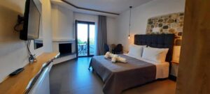 Ενοικιαζόμενα διαμερίσματα Ζαγορά Πήλιο, ενοικιαζόμενα δωμάτια Ζαγορά Πήλιο, ξενοδοχείο Ζαγορά Πήλιο, κατάλυμα Ζαγορά Πήλιο, διαμονή Ζαγορά Πήλιο, ξενώνας Ζαγορά Πήλιο, Aelia 