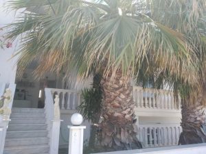 Ενοικιαζόμενα δωμάτια Αδάμαντας Μήλος, ενοικιαζόμενα διαμερίσματα Αδάμαντας Μήλος, ξενοδοχείο Αδάμαντας Μήλος, κατάλυμα Αδάμαντας Μήλος, ξενώνας Αδάμαντας Μήλος, διαμονή Αδάμαντας Μήλος, Kiritsis 