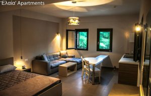 Ενοικιαζόμενα δωμάτια Καλπάκι Ιωαννίνων, ενοικιαζόμενα διαμερίσματα Καλπάκι Ιωαννίνων, ξενοδοχείο Καλπάκι Ιωαννίνων. Διαμονή Καλπάκι Ιωαννίνων, καταλύματα Καλπάκι Ιωαννίνων. Ενοικιαζόμενο δωμάτιο Καλπάκι Ιωαννίνων, ενοικιαζόμενο δωμάτιο Καλπάκι Ιωαννίνων, ξενοδοχεία Καλπάκι Ιωαννίνων. Κατάλυμα Καλπάκι Ιωαννίνων, Ελαία Apartments