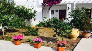 Ενοικιαζόμενα δωμάτια Βρύση Μύκονος, ενοικιαζόμενα διαμερίσματα Βρύση Μύκονος, ξενοδοχείο Βρύση Μύκονος. Καταλύματα Βρύση Μύκονος, διαμονή Βρύση Μύκονος. Ενοικιαζόμενο δωμάτιο Βρύση Μύκονος, Renata's Rooms