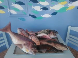 Εστιατόριο Βουρκάρι Κέα, φρέσκα ψάρια Βουρκάρι Κέα, θαλασσινά Βουρκάρι Κέα, μακαρονάδες Βουρκάρι Κέα, ψαρομεζέδες Βουρκάρι Κέα, μαγειρευτά φαγητά Βουρκάρι Κέα, Αρίστος