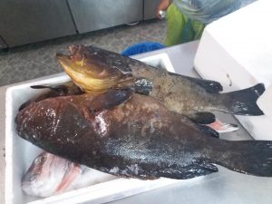 Εστιατόριο Άνω Κουφονήσι, ταβέρνα Άνω Κουφονήσι, ουζερί Άνω Κουφονήσι, φρέσκα ψάρια Άνω Κουφονήσι, θαλασσινά Άνω Κουφονήσι, μακαρονάδες Άνω Κουφονήσι, ψαρομεζέδες Άνω Κουφονήσι, Ανέπλωρα