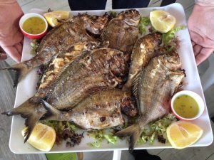 Εστιατόριο Στενιές Άνδρος, ταβέρνα Στενιές Άνδρος, φρέσκα ψάρια Στενιές Άνδρος, θαλασσινά Στενιές Άνδρος, σνακ μπαρ Στενιές Άνδρος, φαγητό Στενιές Άνδρος. Εστιατόρια Στενιές Άνδρος, Γυάλια