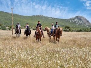 Φάρμα αλόγων Μέγαρα, σχολή ιππασίας Μέγαρα, εμπόριο αλόγων Μέγαρα, εκπαίδευση αλόγων Μέγαρα, ενοικίαση νυφικών αμαξών Μέγαρα, Γκοσδής