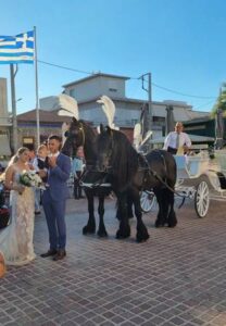 Φάρμα αλόγων Μέγαρα, σχολή ιππασίας Μέγαρα, εμπόριο αλόγων Μέγαρα, εκπαίδευση αλόγων Μέγαρα, ενοικίαση νυφικών αμαξών Μέγαρα, Γκοσδής