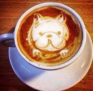 Εστιατόριο Αλικανάς Ζακύνθου, φαγητό Αλικανάς Ζακύνθου, καφές Αλικανάς Ζακύνθου. Πίτσα Αλικανάς Ζακύνθου, μπέργκερ Αλικανάς Ζακύνθου, μαγειρευτά Αλικανάς Ζακύνθου, κρέπες Αλικανάς Ζακύνθου. Εστιατόρια Αλικανάς Ζακύνθου, Rua Mat 