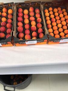 Φυτώριο Βέροια, εμπόριο οπωροφόρων Βέροια, εμπόριο ροδάκινων Βέροια, εμπόριο νεκταρινιών Βέροια, εμπόριο δαμάσκηνων Βέροια, εμπόριο βερίκοκων Βέροια, εμπόριο κερασιών Βέροια, Balkan Agro 