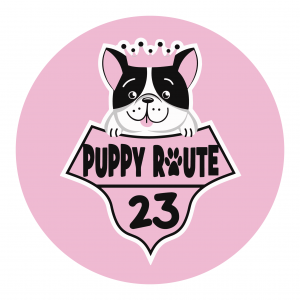 Φροντίδα μικρών ζώων Παλαιό Φάληρο, κομμωτήριο μικρών ζώων Παλαιό Φάληρο, καθημερινή βόλτα κατοικιδίων Παλαιό Φάληρο. Λούσιμο κατοικιδίων Παλαιό Φάληρο. Puppy Route 23 