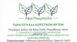 Φυτώριο Μαραθώνας, θερμοκήπιο Μαραθώνας, καλλωπιστικά φυτά Μαραθώνας, φυτά εσωτερικού χώρου Μαραθώνας. Φυτά εξωτερικού χώρου Μαραθώνας, Αφοί Ρούμπουλα