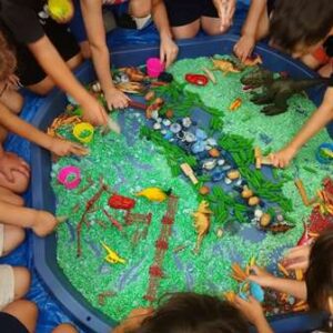 Ιδιωτικό εκπαιδευτήριο Κορυδαλλός, παιδικός σταθμός Κορυδαλλός, νηπιαγωγείο Κορυδαλλός, προνήπιο Κορυδαλλός, δημοτικό Κορυδαλλός, Μακρυγιάννη 