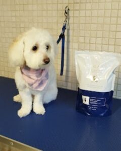 Pet grooming Ζάκυνθος Γαϊτάνι, περιποίηση κατοικιδίων Ζάκυνθος Γαϊτάνι, εκπαίδευση κατοικιδίων Ζάκυνθος Γαϊτάνι, pet shop Ζάκυνθος Γαϊτάνι, Love & Care