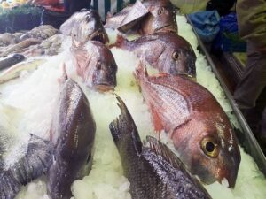 Ιχθυοπωλείο Κέρκυρα, φρέσκα ψάρια Κέρκυρα, θαλασσινά Κέρκυρα, οστρακοειδή Κέρκυρα, καλαμάρια Κέρκυρα, μπακαλιάροι Κέρκυρα, γαρίδες Κέρκυρα, μπαρμπούνια Κέρκυρα, τσιπούρες Κέρκυρα, γαύρος Κέρκυρα, Corfu Fresh Fish