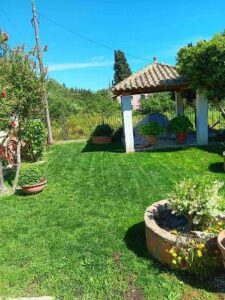 Κατασκευή κήπων Κέρκυρα Άγιος Προκόπης, συντήρηση κήπων Κέρκυρα Άγιος Προκόπης, κηπουρός Κέρκυρα Άγιος Προκόπης, φροντίδα κήπων Κέρκυρα Άγιος Προκόπης, κηπουρικές εργασίες Κέρκυρα Άγιος Προκόπης, καθαρισμοί κήπων Κέρκυρα Άγιος Προκόπης, Vasil 